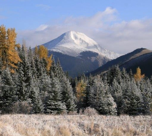 elkford-scenery-s.c0a17312828.jpg